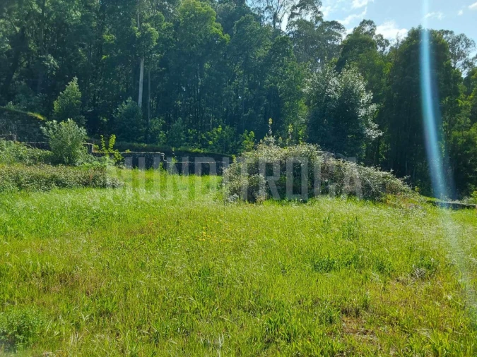 Terreno para Venda em Geraz do Lima (Santa Maria, Santa Leocádia, Moreira), Deão Foto 7