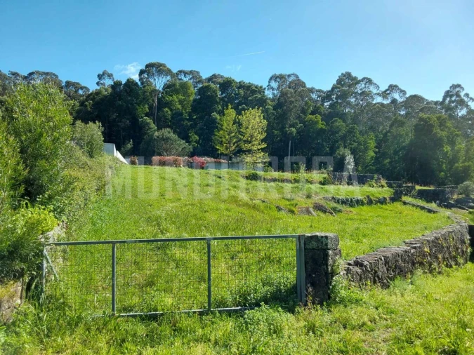 Terreno para Venda em Geraz do Lima (Santa Maria, Santa Leocádia, Moreira), Deão Foto 2