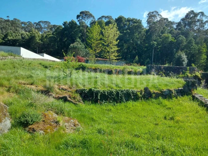 Terreno para Venda em Geraz do Lima (Santa Maria, Santa Leocádia, Moreira), Deão Foto 13