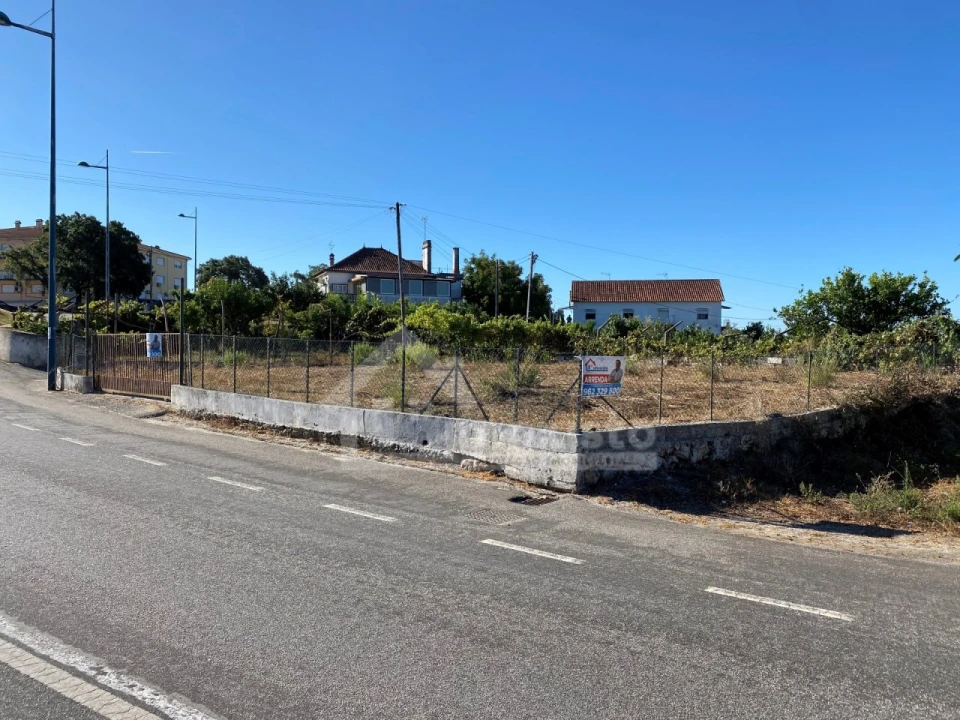 Terreno para Arrendamento em Figueiró dos Vinhos e Bairradas Foto 4