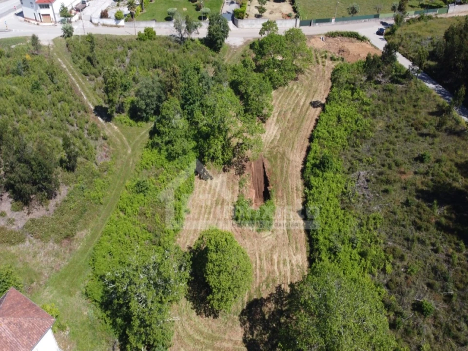 Terreno para Venda em Figueiró dos Vinhos e Bairradas Foto 4