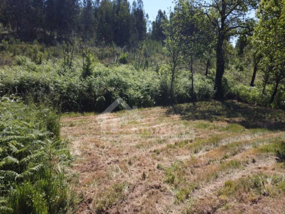 Terreno para Venda em Figueiró dos Vinhos e Bairradas Foto 9