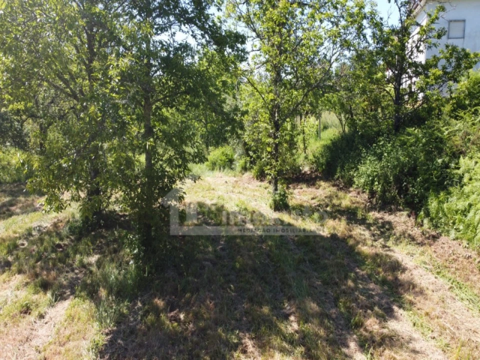 Terreno para Venda em Figueiró dos Vinhos e Bairradas Foto 10