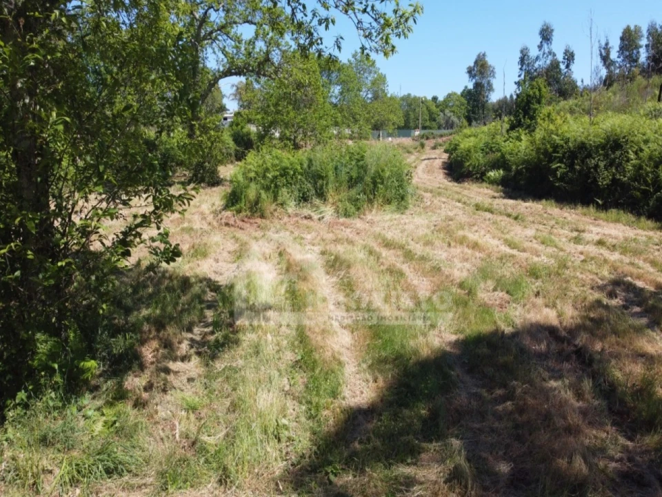 Terreno para Venda em Figueiró dos Vinhos e Bairradas Foto 12