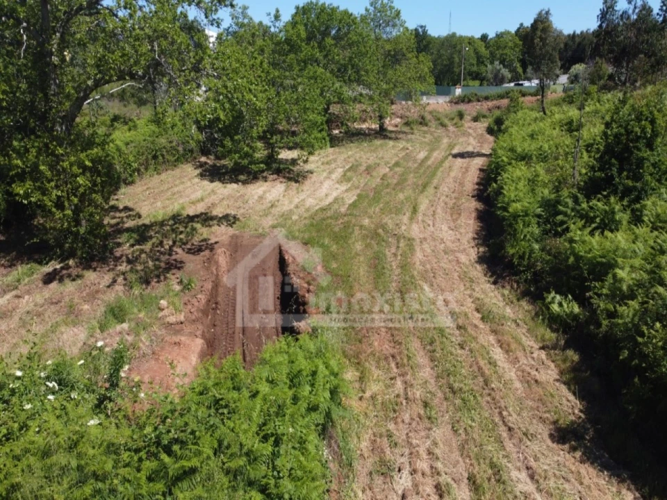 Terreno para Venda em Figueiró dos Vinhos e Bairradas Foto 14