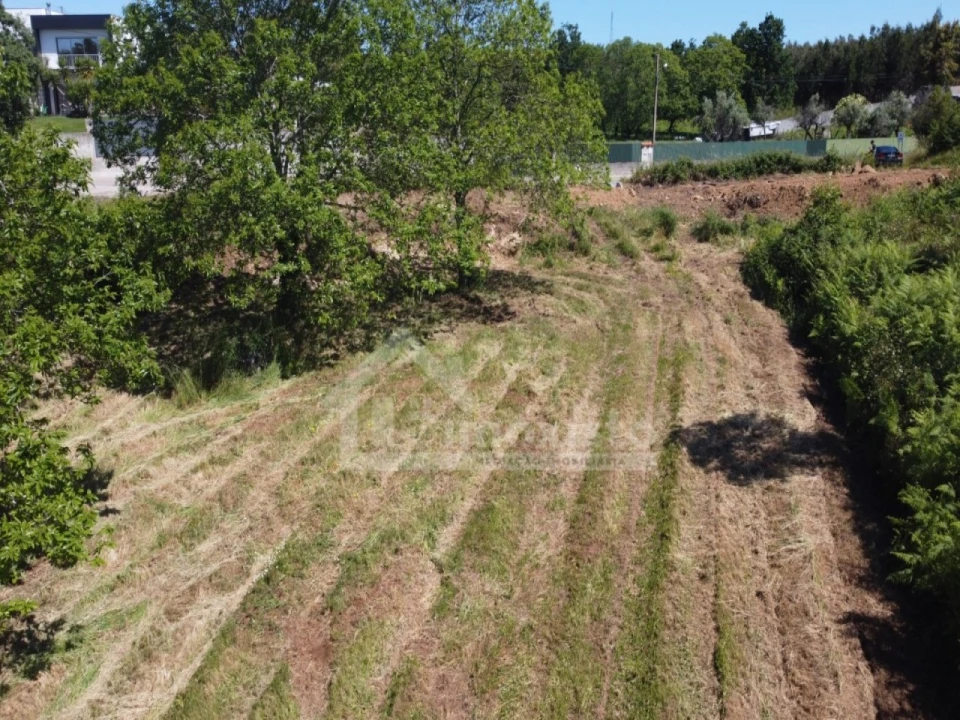 Terreno para Venda em Figueiró dos Vinhos e Bairradas Foto 15