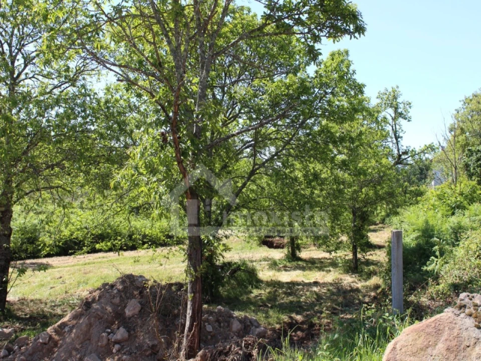 Terreno para Venda em Figueiró dos Vinhos e Bairradas Foto 22