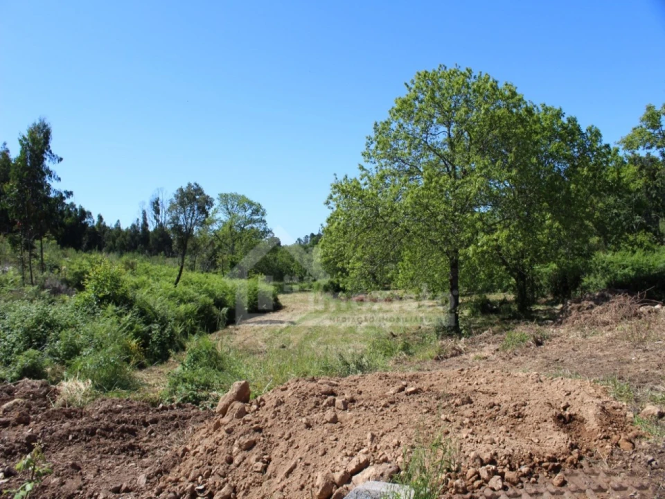 Terreno para Venda em Figueiró dos Vinhos e Bairradas Foto 24