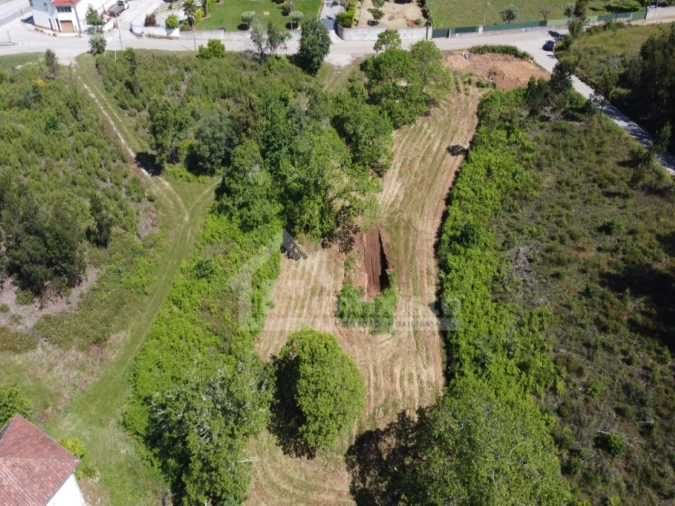 Terreno para Venda em Figueiró dos Vinhos e Bairradas Foto 4