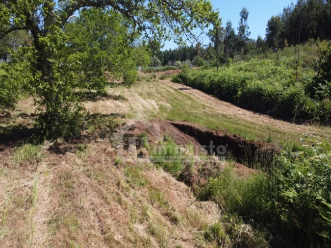 Terreno para Venda em Figueiró dos Vinhos e Bairradas Foto 8