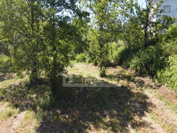 Terreno para Venda em Figueiró dos Vinhos e Bairradas Foto 11