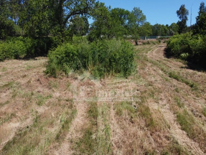 Terreno para Venda em Figueiró dos Vinhos e Bairradas Foto 13