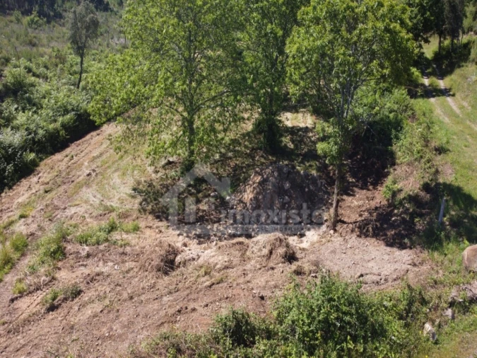 Terreno para Venda em Figueiró dos Vinhos e Bairradas Foto 16