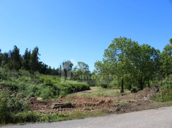 Terreno para Venda em Figueiró dos Vinhos e Bairradas Foto 18