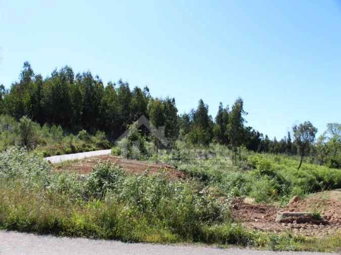 Terreno para Venda em Figueiró dos Vinhos e Bairradas Foto 19