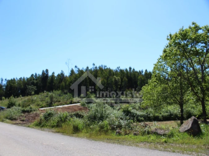 Terreno para Venda em Figueiró dos Vinhos e Bairradas Foto 20