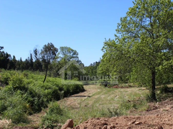 Terreno para Venda em Figueiró dos Vinhos e Bairradas Foto 23