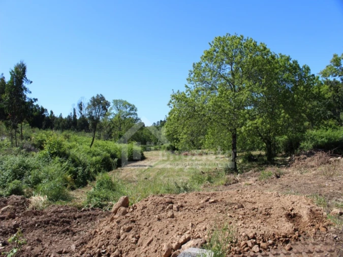 Terreno para Venda em Figueiró dos Vinhos e Bairradas Foto 24