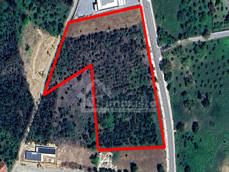 Terreno para Venda em Figueiró dos Vinhos e Bairradas Foto 8