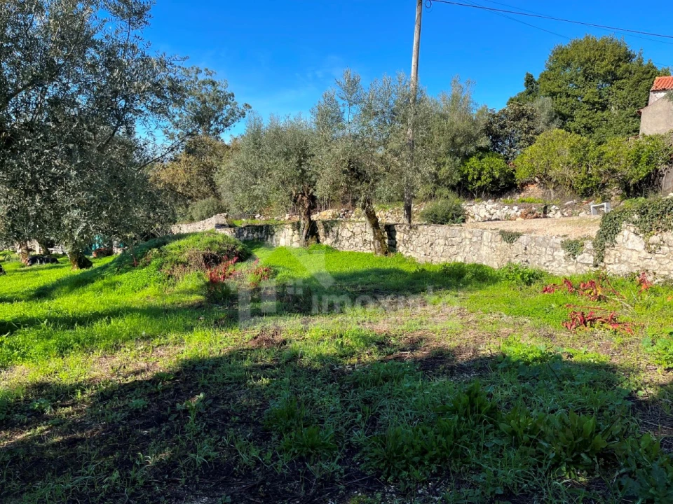 Terreno para Venda em Ansião Foto 4