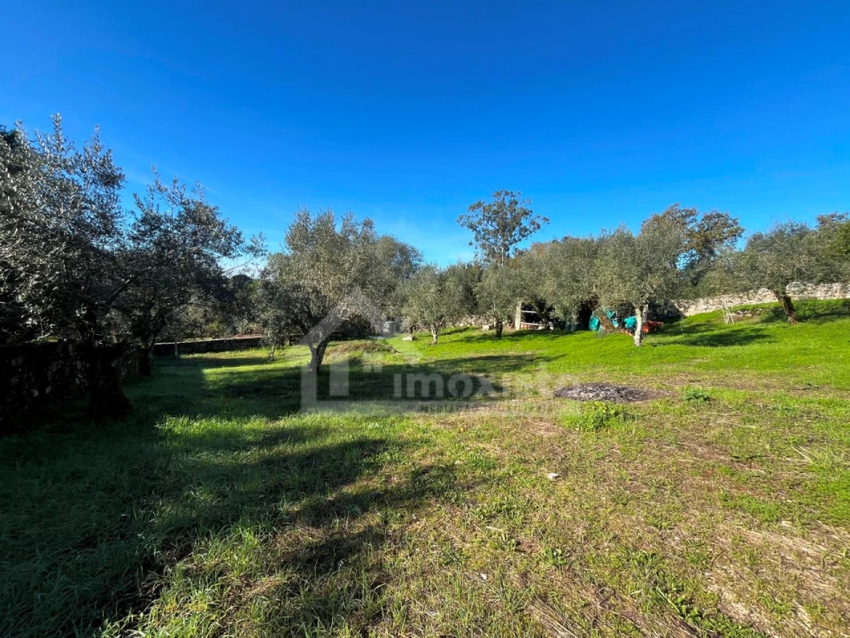 Terreno para Venda em Ansião Foto 7