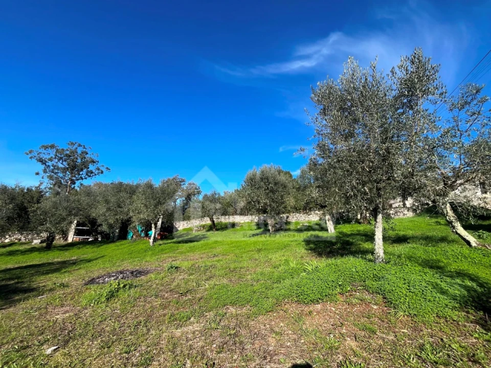 Terreno para Venda em Ansião Foto 10