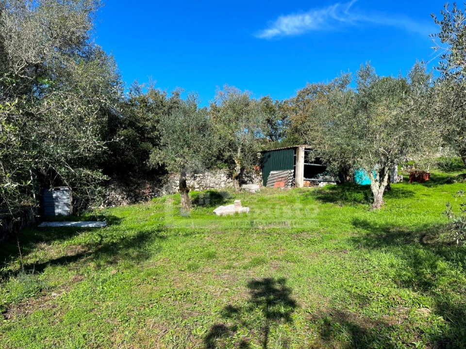 Terreno para Venda em Ansião Foto 11