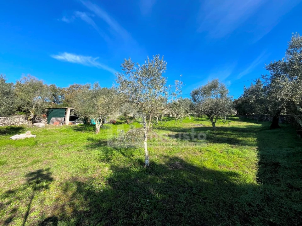 Terreno para Venda em Ansião Foto 12