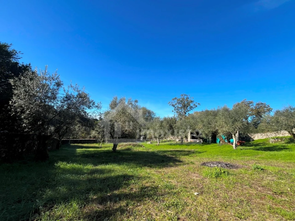 Terreno para Venda em Ansião Foto 13