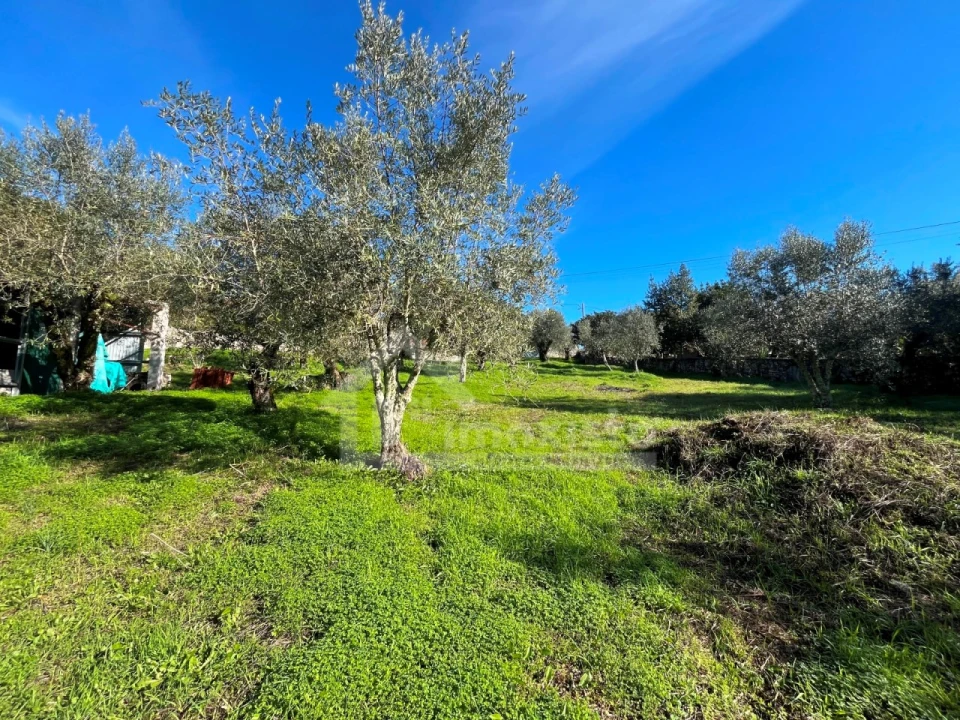 Terreno para Venda em Ansião Foto 16