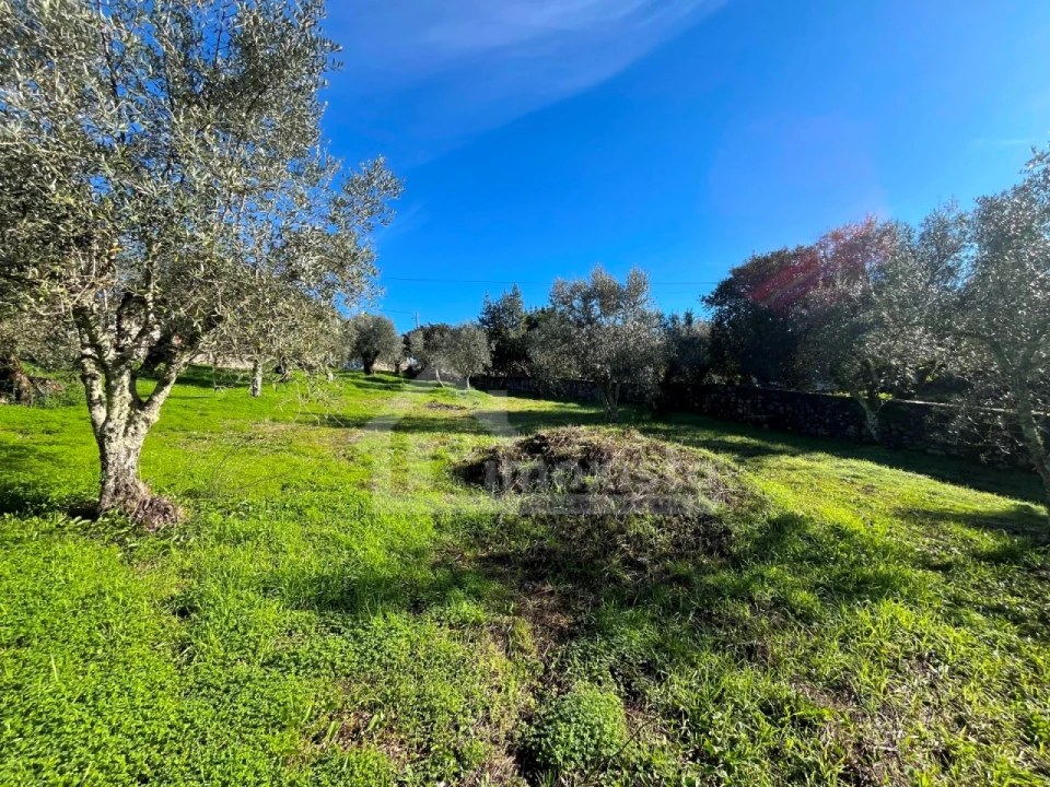 Terreno para Venda em Ansião Foto 17