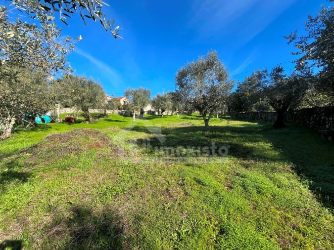 Terreno para Venda em Ansião Foto 15