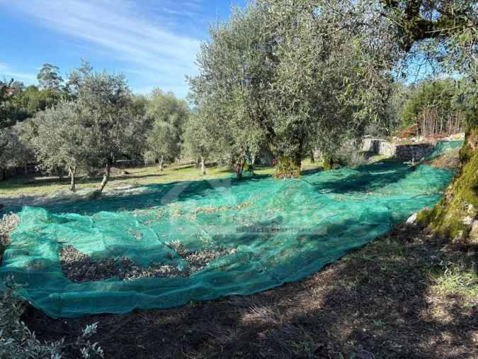 Terreno para Venda em Ansião Foto 18