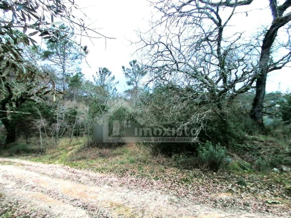 Terreno para Venda em Ansião Foto 6