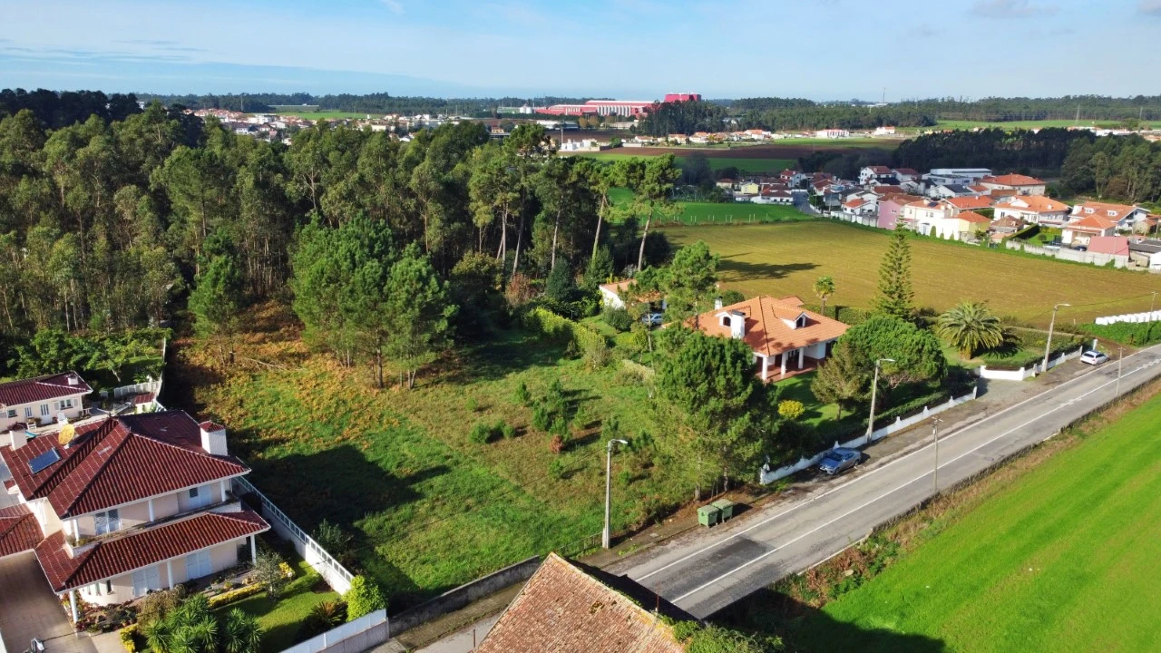 Terreno para Venda em Modivas Foto 2