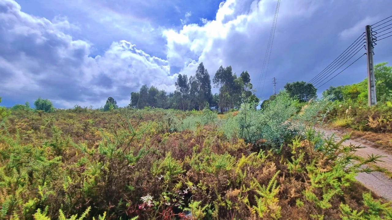 Terreno para Venda em Pedroso e Seixezelo Foto 2