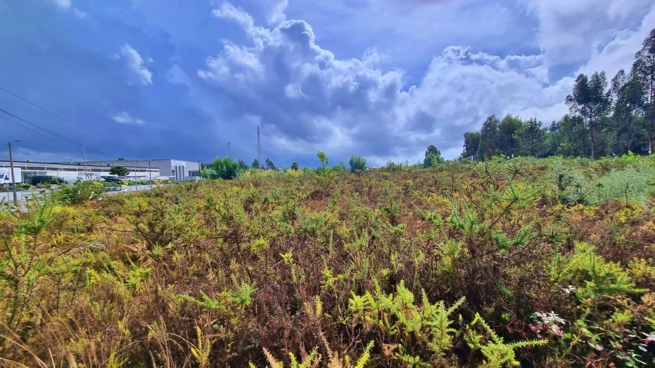 Terreno para Venda em Pedroso e Seixezelo Foto 5