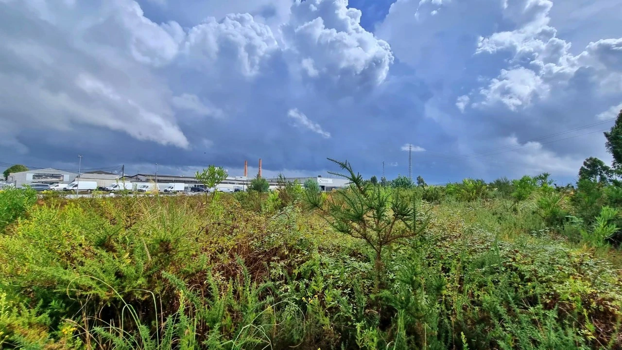Terreno para Venda em Pedroso e Seixezelo Foto 6