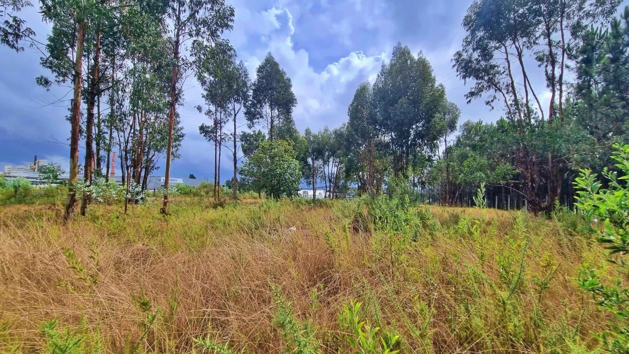 Terreno para Venda em Pedroso e Seixezelo Foto 8