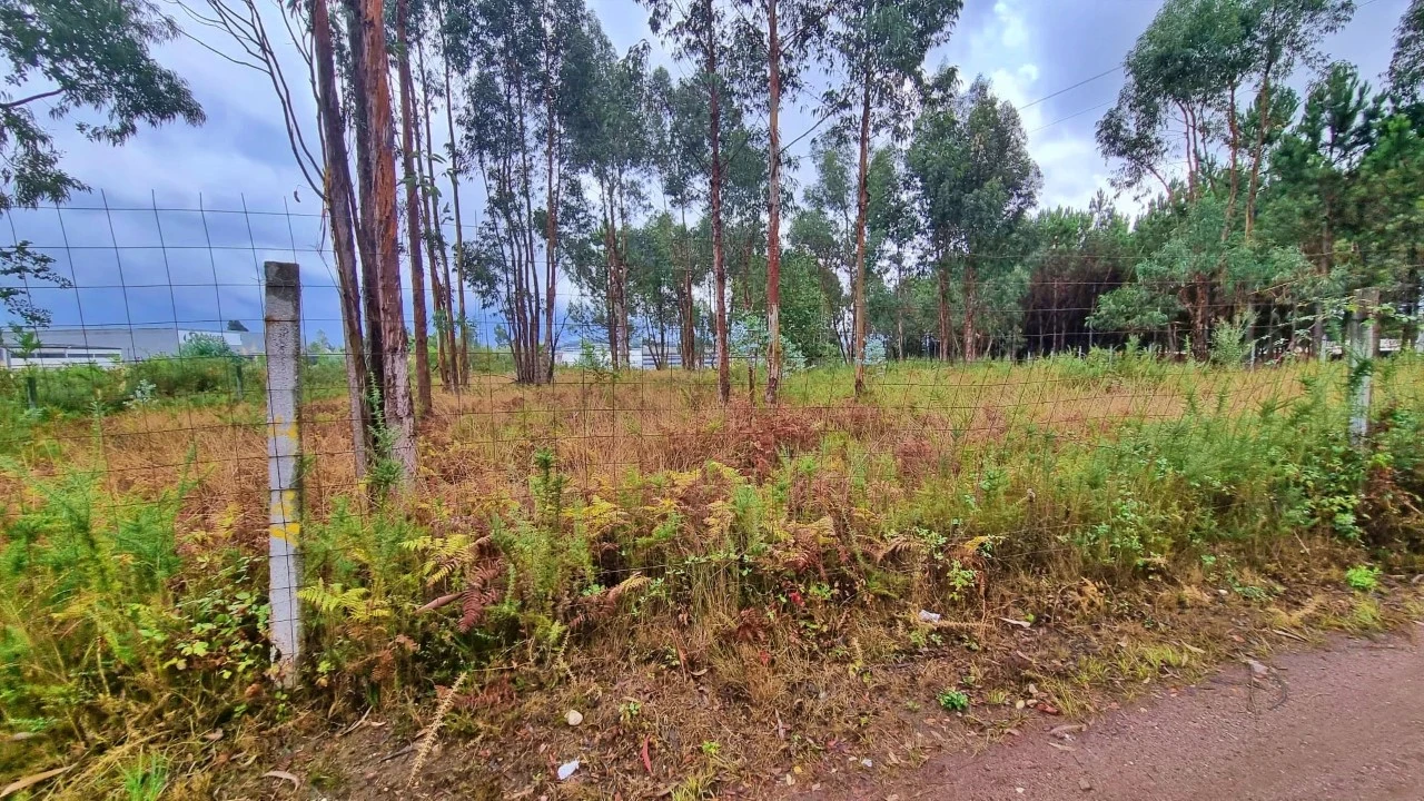 Terreno para Venda em Pedroso e Seixezelo Foto 9