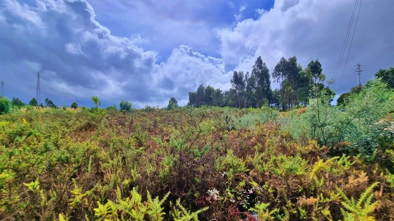 Terreno para Venda em Pedroso e Seixezelo Foto 10