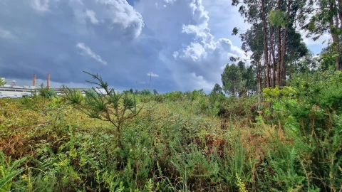 Terreno para Venda em Pedroso e Seixezelo