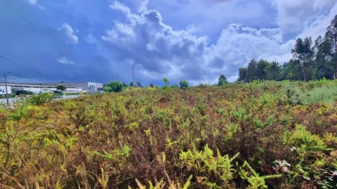 Terreno para Venda em Pedroso e Seixezelo