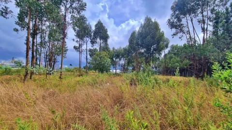 Terreno para Venda em Pedroso e Seixezelo