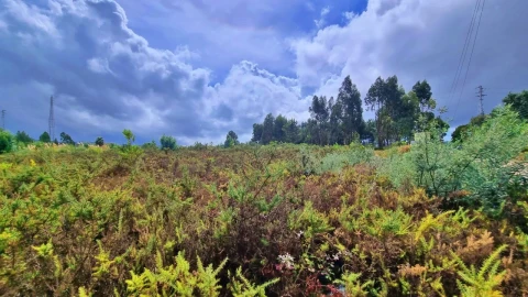 Terreno para Venda em Pedroso e Seixezelo