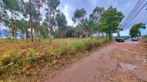 Terreno para Venda em Pedroso e Seixezelo