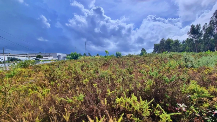 Terreno para Venda em Pedroso e Seixezelo Foto 5
