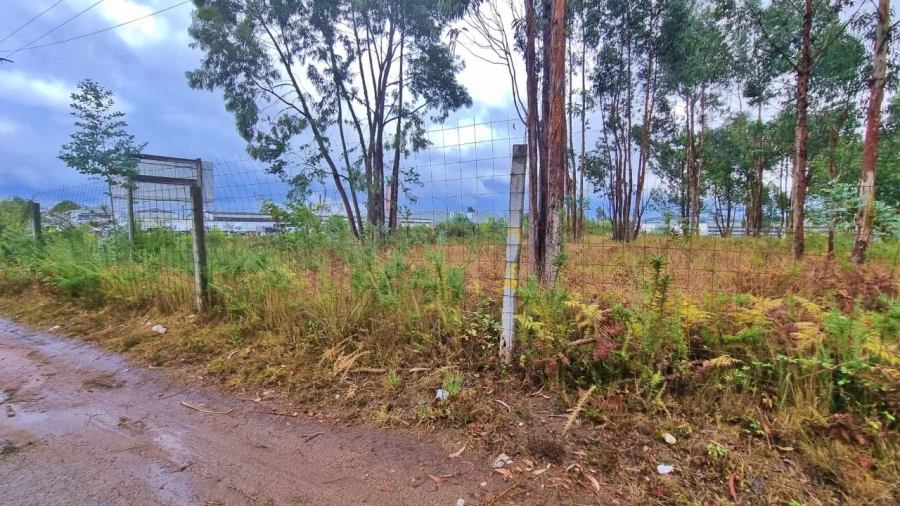 Terreno para Venda em Pedroso e Seixezelo Foto 12