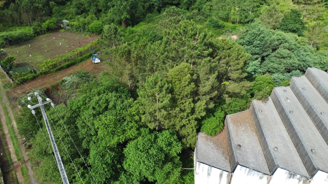 Terreno para Venda em Alvarelhos e Guidões Foto 4