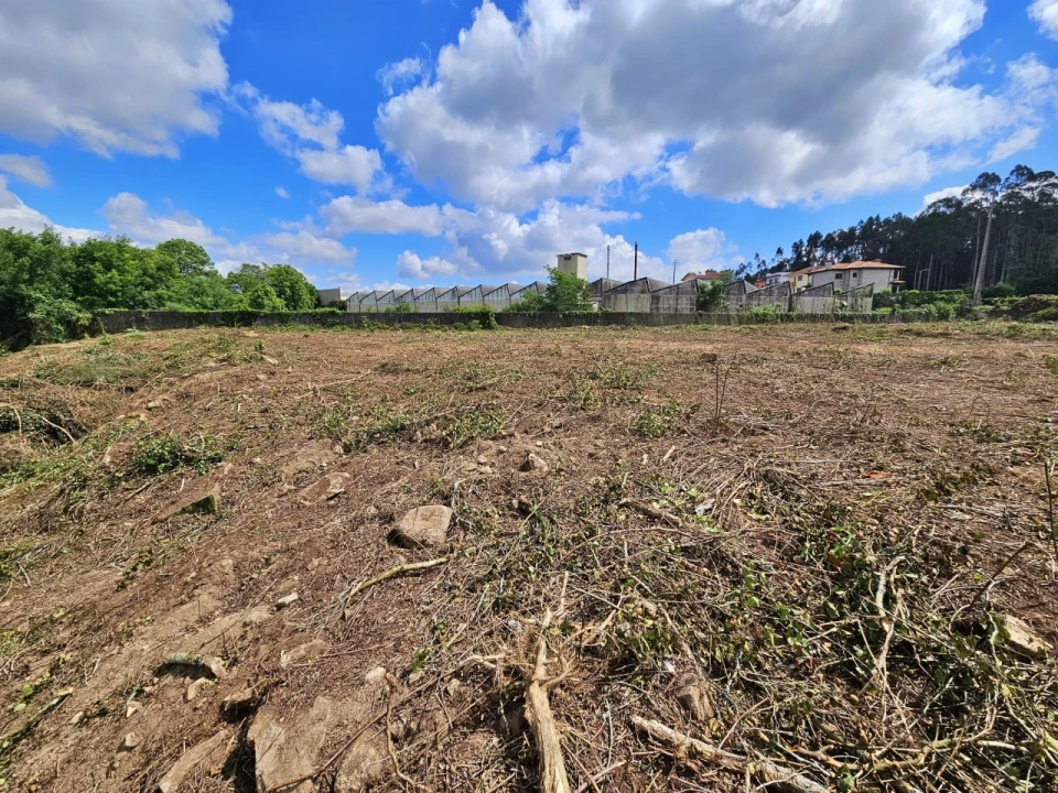 Terreno para Venda em Alvarelhos e Guidões Foto 3